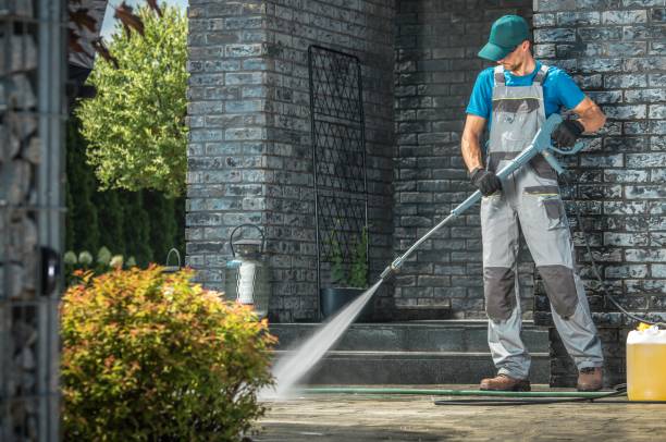 Best Driveway Pressure Washing  in Red Lick, TX